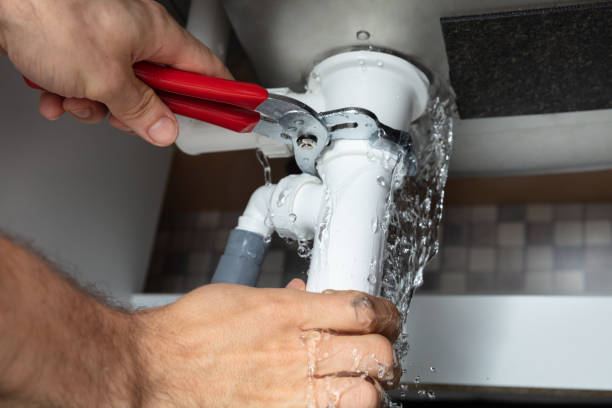 Best Basement water damage restoration  in Rainbow City, AL