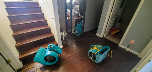 Best Flood restoration services  in Rainbow City, AL