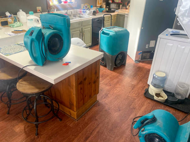 Best Flood damage cleanup  in Rainbow City, AL
