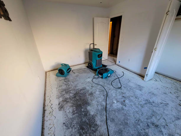 Best 24/7 water damage repair  in Rainbow City, AL