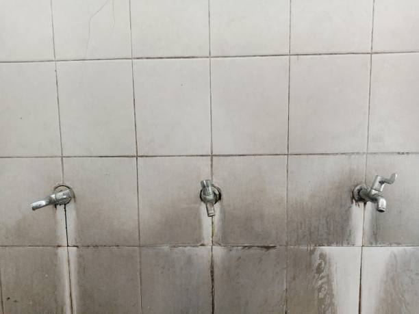 Best Water damage cleanup near me  in Rainbow City, AL