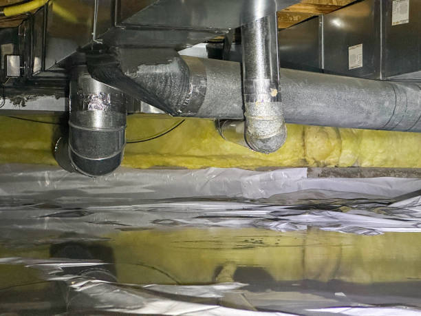 Best 24-hour water damage restoration  in Rainbow City, AL