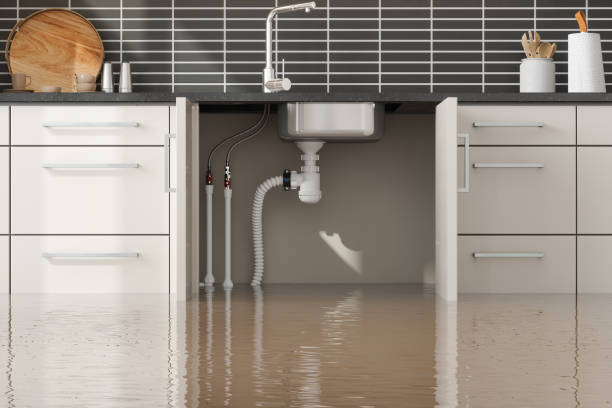 Best Water damage cleanup near me  in Rainbow City, AL