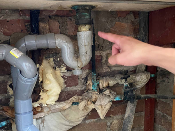 Best Carpet water damage restoration  in Rainbow City, AL