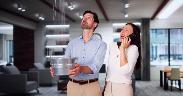 Best Fire Damage Restoration  in Rainbow City, AL